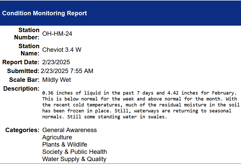 feb 23 2025 condition monitoring report